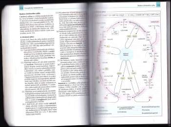 Jan Koolman: Barevný atlas biochemie