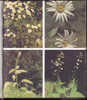 Dušan Randuška: Barevný atlas rostlin