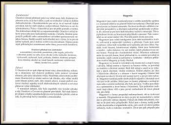 Pamala Oslie: Barvy života