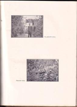 Jaromír Václav Šmejkal: Baskické listy z kraje Ramuntchova