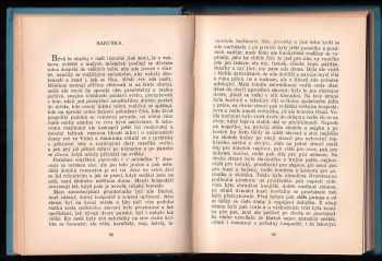 Božena Němcová: Básně a první prósy