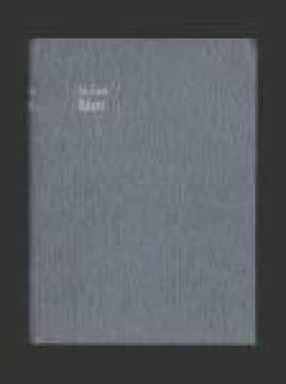 Václav z Michalovic