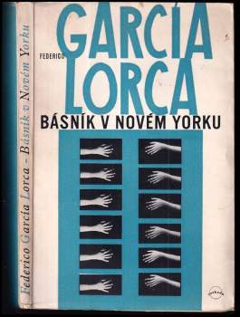 Básník v Novém Yorku