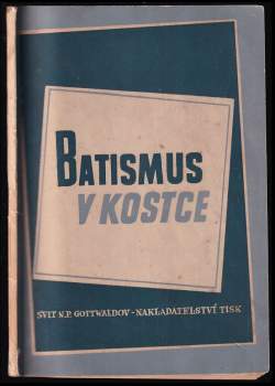 Batismus v kostce
