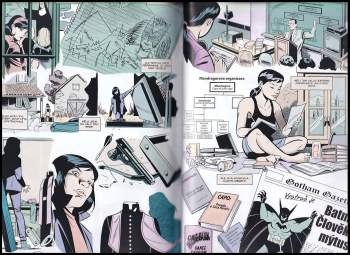 Greg Rucka: Batman / Huntress - Volání po krvi