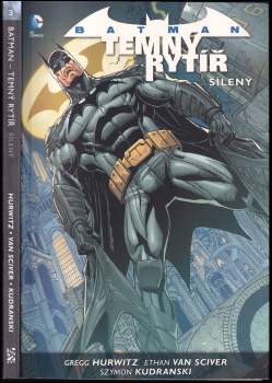 Batman - Temný rytíř