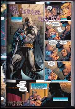 Jeph Loeb: Batman - Ticho : Díl 1-2