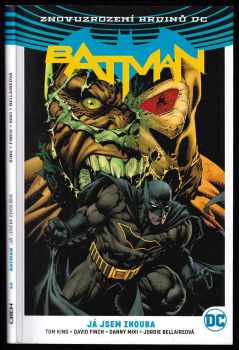 Batman - Kniha třetí - Já jsem zhouba