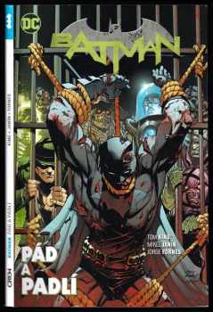 Andy Kubert: Batman - Pád a padlí