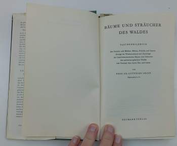 Gottfried Amann: Bäume und sträucher des Waldes