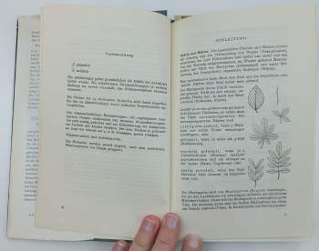 Gottfried Amann: Bäume und sträucher des Waldes
