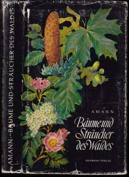 Bäume und sträucher des Waldes
