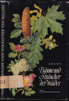 Bäume und sträucher des Waldes