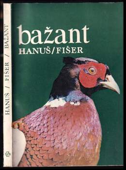 Bažant
