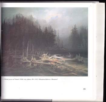 Naděžda Blažíčková-Horová: Bedřich Havránek