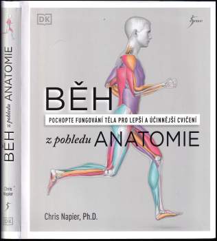 Běh z pohledu anatomie