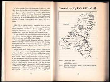 Geert van Istendael: Belgický labyrint