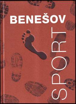 Benešov - sport