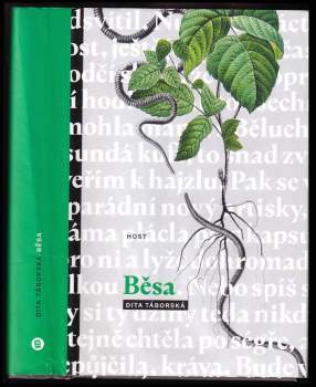 Běsa