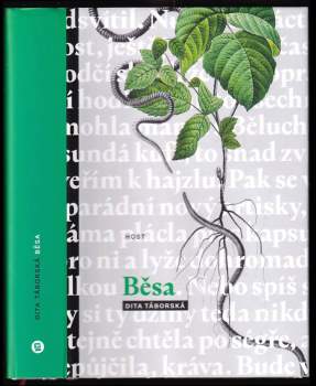 Běsa