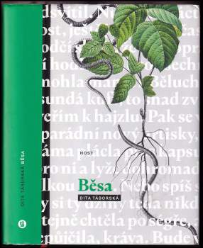 Běsa