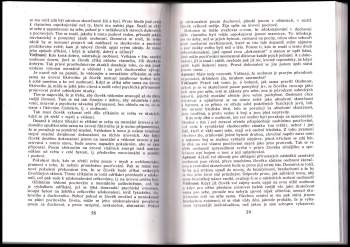 Květoslav Minařík: Beseda bohů