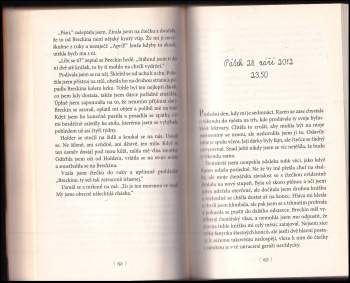 Colleen Hoover: Bez naděje