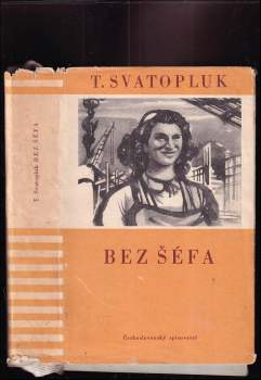Bez šéfa