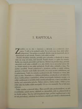 Lee Child: Bez slitování