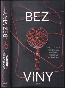 Bez viny