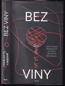 Charlotte Link: Bez viny