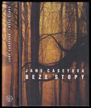 Janet Galligani Casey: Beze stopy