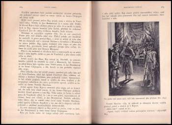 Jules Verne: Bezejmenná rodina