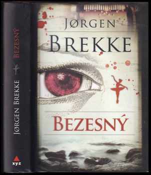 Bezesný : detektivní román - Jørgen Brekke (2017, XYZ) - ID: 754951