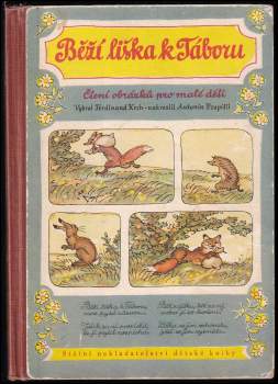 Běží liška k Táboru