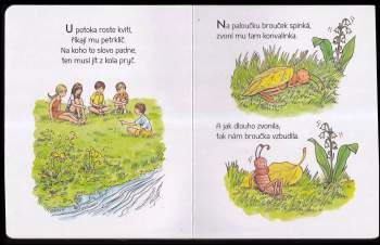 Běží liška k Táboru