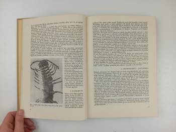 Václav Breindl: Bezobratlí