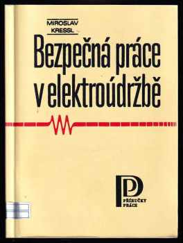Miroslav Kressl: Bezpečná práce v elektroúdržbě