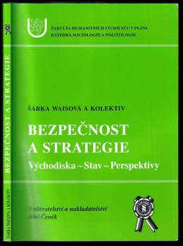 Bezpečnost a strategie