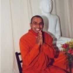 Bhante Y Wimala