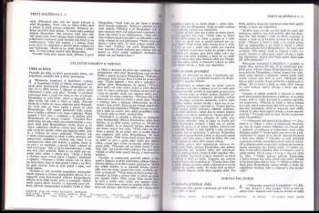 Bible
