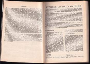 Bible
