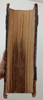 Bible česká, čili, Písmo swaté starého i nowého Zákona