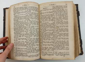 Bible česká, čili, Písmo swaté starého i nowého Zákona