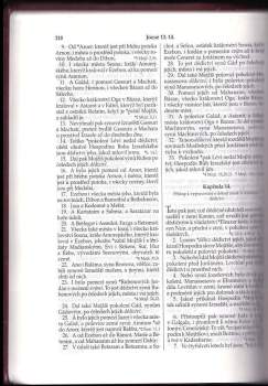 Bible kralická