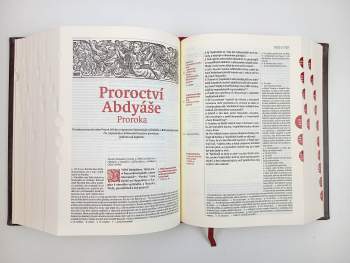 Bible kralická