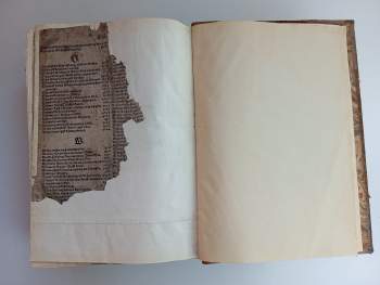 Bible Melantrichova
