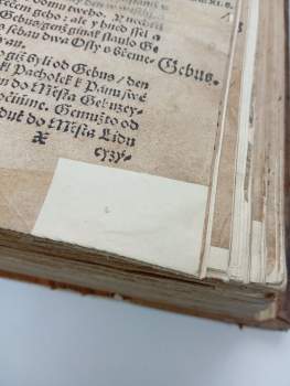Bible Melantrichova