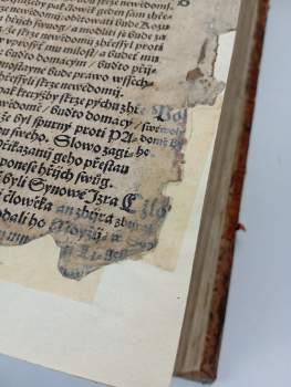 Bible Melantrichova