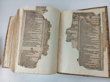 Bible Melantrichova